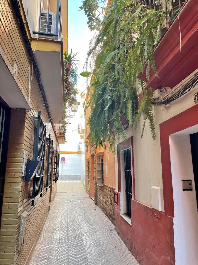 Barrio De Santa Cruz, La Judería. Zona Inmejorable Apartamento Sevilla